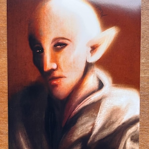 May include: A portrait print of a person with pale skin, large pointed ears, and a serene expression. The artwork features a warm colour palette with shades of brown and orange, creating a soft, ethereal glow around the subject's head.