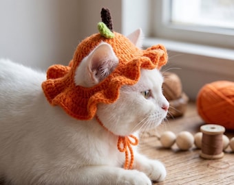 Pumpkin Cat Hat Crochet, Cute Fall Pet Hat, Halloween Cat Costume,  Pet Hat Adorable Cartoon, Gift Idea Pet Lovers