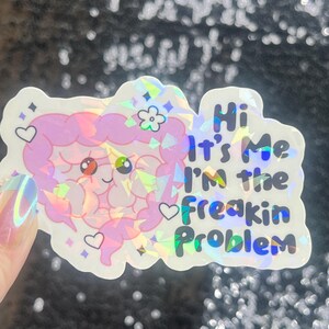 May include: A holographic sticker featuring a cartoon-style pink intestine character with a smiling face, flower, and hearts. The sticker has the text "Hi It's Me I'm the freakin Problem" in blue and green.