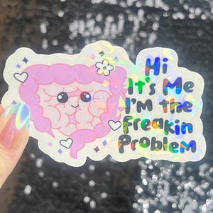 May include: A holographic sticker featuring a cartoon illustration of intestines with a smiling face, hearts, and a flower. The sticker has the text "Hi It's Me I'm the Freakin Problem" in colorful lettering.
