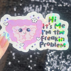 May include: A holographic sticker featuring a cartoon illustration of a pink intestine with a smiling face, a flower, and hearts. The sticker reads "Hi It's Me I'm the Freakin Problem" in colorful text.