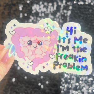 May include: A holographic sticker featuring a cartoon intestine with a smiling face, hearts, and a flower. The sticker has the text "Hi It's Me I'm the Freakin Problem" in blue and green.