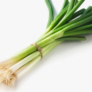 대파 Korean Scallion Seeds(100+ seeds) Big Green Onion. Free Shipping~!