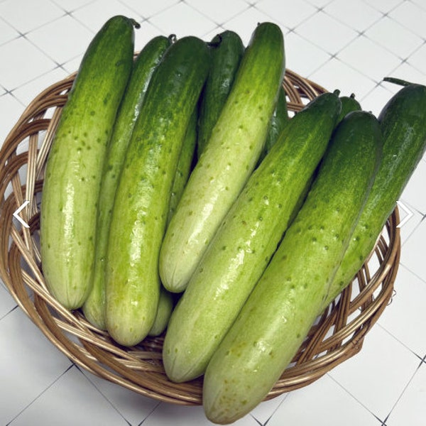 오이 Korean Cucumber Seeds (30+ seeds)Free Shipping~!
