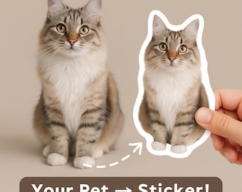 Custom Pet Sticker, Waterproof Vinyl Decal with Personalized Design
