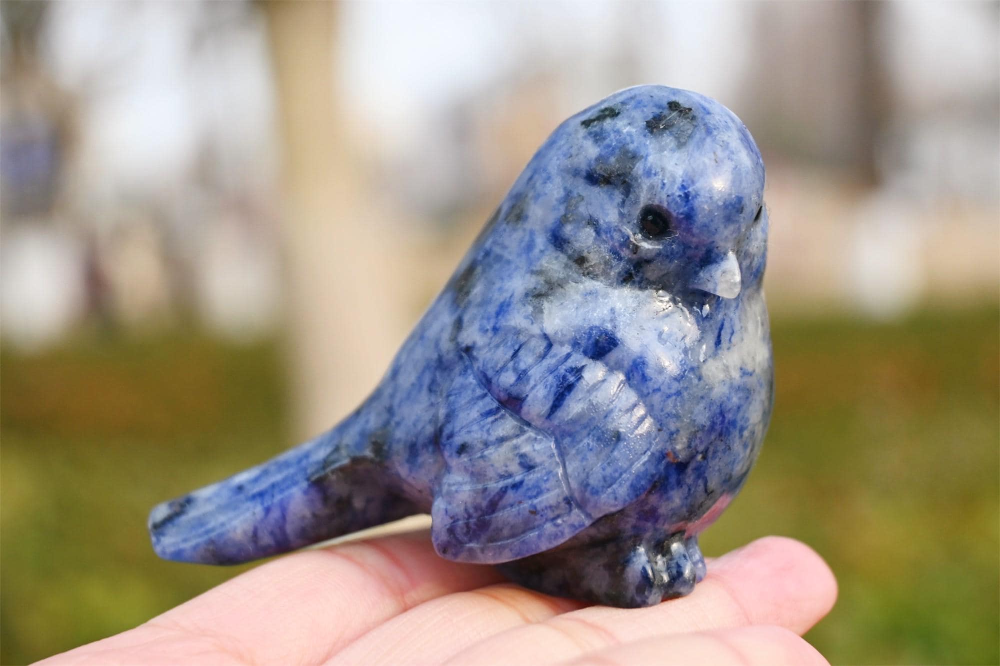 2.4'' Natural Hand carved Sodalite Bird,Quartz crystal,crystal Bird,Crystal gift,Home decor,Crystal healing