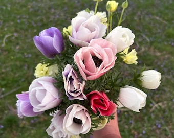 Anemone Galilee Pastel Mix Corms, Top Sized #5/6, 5+ per pack