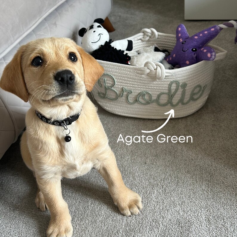 Buy Custom Pet Toy Basket, Christmas Gift, Dog Cat Basket, Puppy Toy