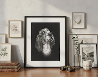 Basset Hound Charcoal Drawing Print | Dog Pet Portrait, Black and White