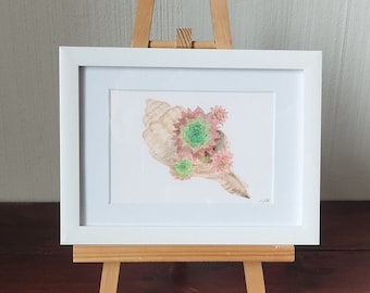 Watercolor "Succulents in a Shell" original, unique, watercolor, watercolor painting, unframed