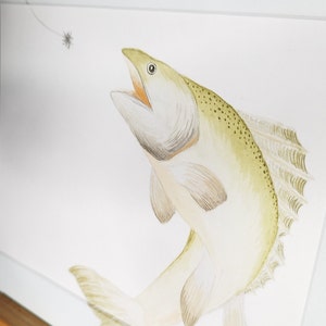 Watercolor Zander original, unique, watercolor, watercolor painting, unframed image 4