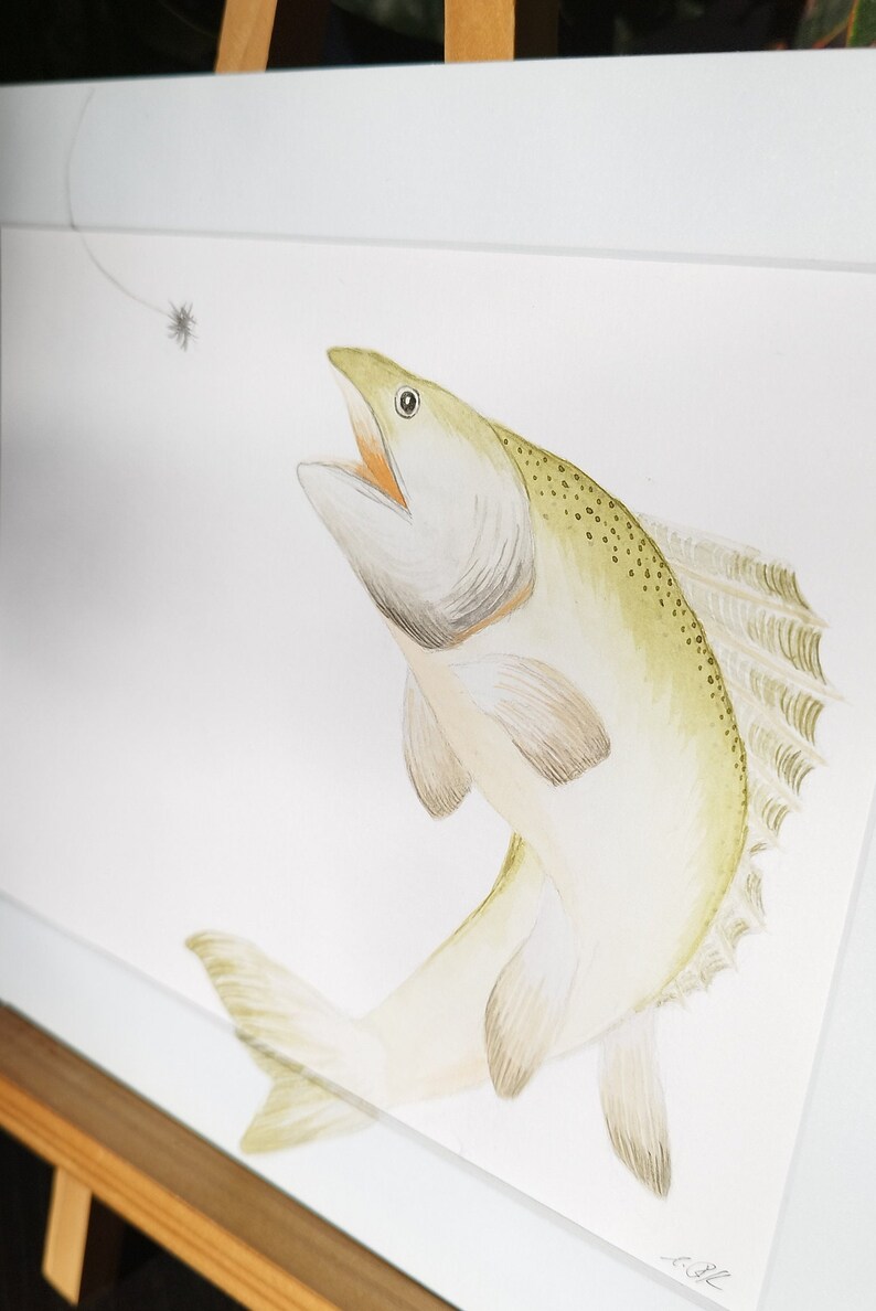 Watercolor Zander original, unique, watercolor, watercolor painting, unframed image 4