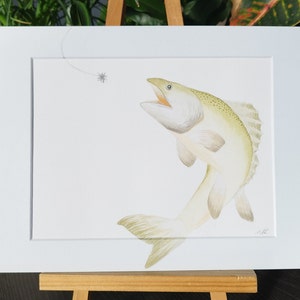 Aquarell Zander Original, Unikat, Watercolor, Aquarellmalerei, ungerahmt Bild 5