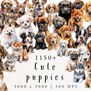 Hund Clipart Bundle | Süßer Hund Clipart | Digitaler Download | Kunstdruck Welpe | Junk Journal | Digital Crafts Designs Transparent