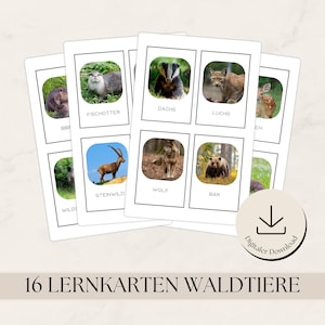 16 Lernkarten Waldtiere zum Ausdrucken pdf, Montessori Lernkarten Kindergarten, Vorschule und Grundschule, digitaler download