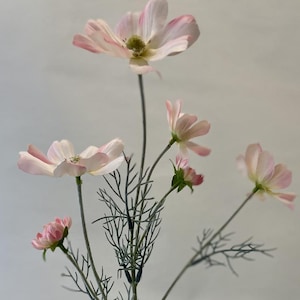Könnte beinhalten: Ein einzelner Stiel künstlicher Kosmosblumen. Die Blüten haben zarte, hellrosa Blütenblätter mit gelben Zentren. Der Stiel ist ein gedämpftes Graugrün mit feinen, farnartigen Blättern. Der Gesamteffekt ist weich und natürlich.