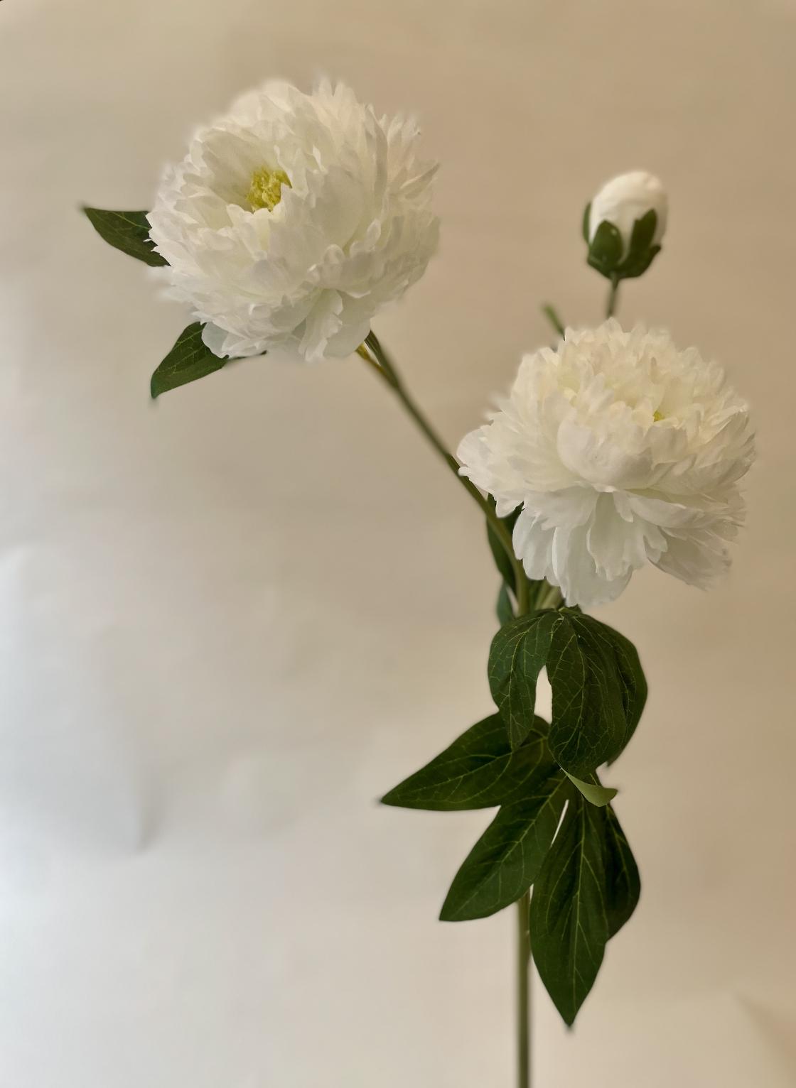 White artificial peony – elegant single stem with silk blossom for decoration or vase, true to nature & high-quality workmanship