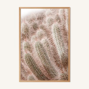 Boho Cactus Photo Print: Desert Home Decor (Digital Download)
