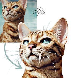 Customized Cartoon Pet Portrait ,Personalized pet vector ,Pet Vector, My pet portrait