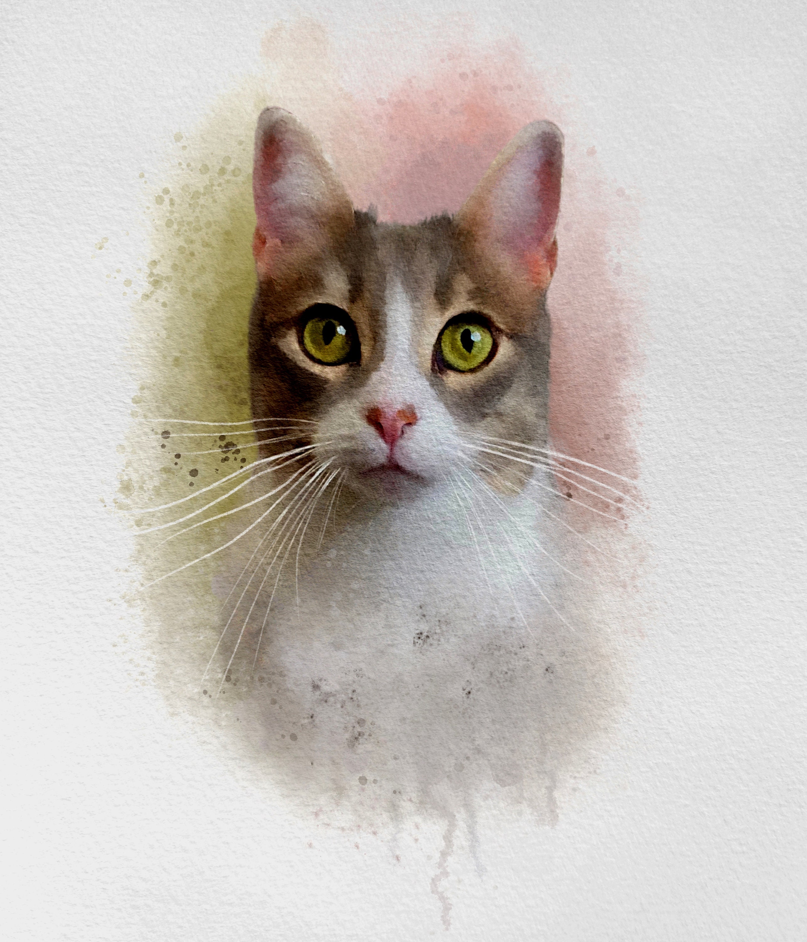 Custom Dog Portrait ,custom Cat Portrait,custom Pet Portrait, Custom ...