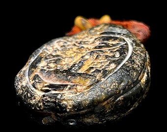 Ancient Egyptian Scarab amulet in black Limonite with hieroglyphics engraved on the back. The obverse has marked elytra. Gift idea