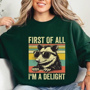 First Of All I&#39;m A Delight Hoodie, Angry Possum Hoodie, Cute Sarcastic Hoodie,Possum Lover, Funny Saying Tee, Sarcastic Self Love Sweatshirt