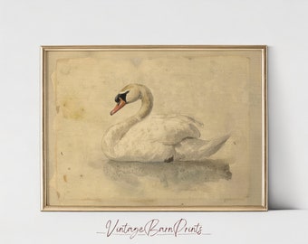 Elegant Vintage Swan Print, Printable Swan Artwork, Antique French Country Decor, Neutral Farmhouse Wall Art, Digital Download  | M133