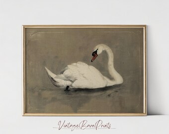 Vintage Swan Print,  Antique Swan Painting, French Country Decor, Neutral Farmhouse Printable Wall Art, Digital Download | M137