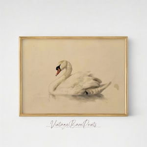 Vintage Swan Print, Antique French Country Decor, Neutral Nursery Farmhouse Wall Art, Printable Swan Artwork, Digital Download  | M132