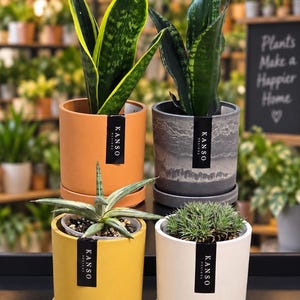 May include: Four cylindrical plant pots with matching saucers, each featuring a black Kanso Designs label. The pots are colored orange, dark gray with a textured finish, mustard yellow, and off-white, each containing a different green plant.