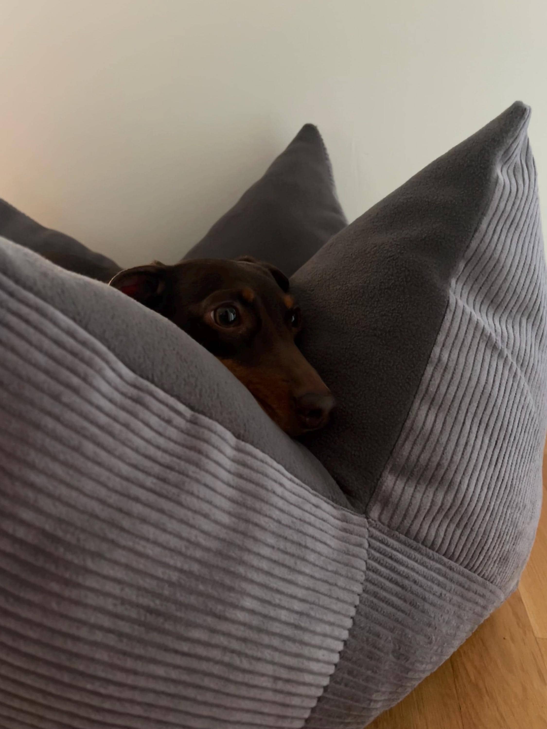 Hundebett rund - Etsy.de