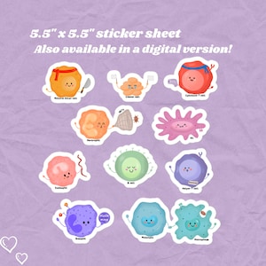 Autocollants de cellules immunitaires de globules blancs, autocollants rigolos mignons - autocollants STEM de biologie, d&#39;immunologie, d&#39;hématologie, de microbiologie et de sciences, 5,5 x 5,5 cm