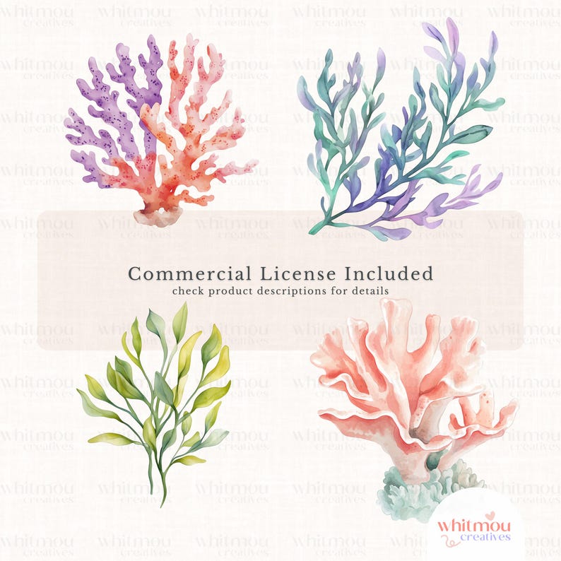 Peut inclure: Quatre illustrations &agrave; l'aquarelle de corail et d'algues. Le corail est rose et orange, les algues sont vertes et bleues. Les illustrations sont sur un fond blanc. Licence commerciale incluse. Consultez les descriptions des produits pour plus de d&eacute;tails.