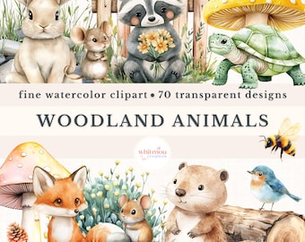 Clipart aquarelle animaux de la forêt : 70 modèles PNG pour chambre d'enfant (téléchargement numérique)