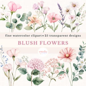 Aquarela Blush Flores Silvestres Clipart Pacote Floral Rosa PNG Pacote Convite Casamento Clipart Blush Campo Flor Clipart Prado Flores Png