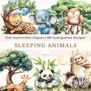 Watercolor Sleeping Animals Clipart Bundle Baby Woodland Animals Clipart Set Baby Shower Png Cute Baby Animals Nursery Decor Kids Room Pngs