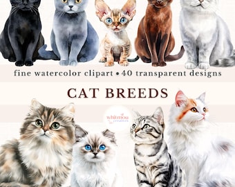 Watercolor Cat Breeds Clipart Bundle: 40 Kitten Portraits (PNG Digital Download)