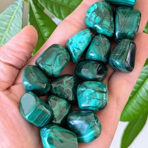 Malachite Tumbled Stones: Pick The Quantity - Polished Green Malachite Gemstones - Natural Malachite Crystals