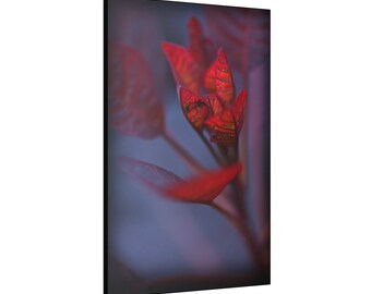 Stunning Wild Flower Photography Wall Art Print On Canvas Ideal For Home or Office Decor - Purple and Pink.