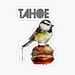Lake Tahoe Outfitters