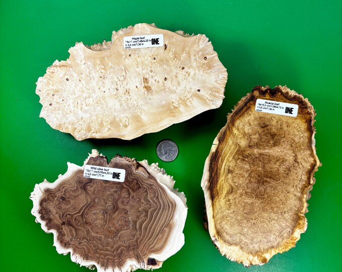 Set of Different Types of Wood 3 Pcs. Burl Wood. Live Edge Wood. Burls ...