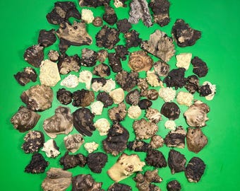 Wild Olive Burl Wood Pieces: 80 pcs , DIY Project