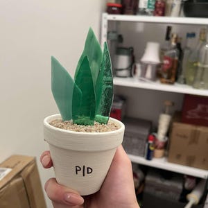 Piante grasse in vetro fatte a mano Piante in vaso in vetro Vetrate colorate Cactus Lover Pianta da appartamento Pianta grassa Pianta senza acqua Cactus Bomboniere per matrimoni uniche