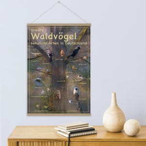 Uccelli della foresta in Germania "I nostri uccelli della foresta" Poster A2 con uccelli, collage di fotografie naturalistiche - Belle arti da parete e regalo per gli amanti del birdwatching