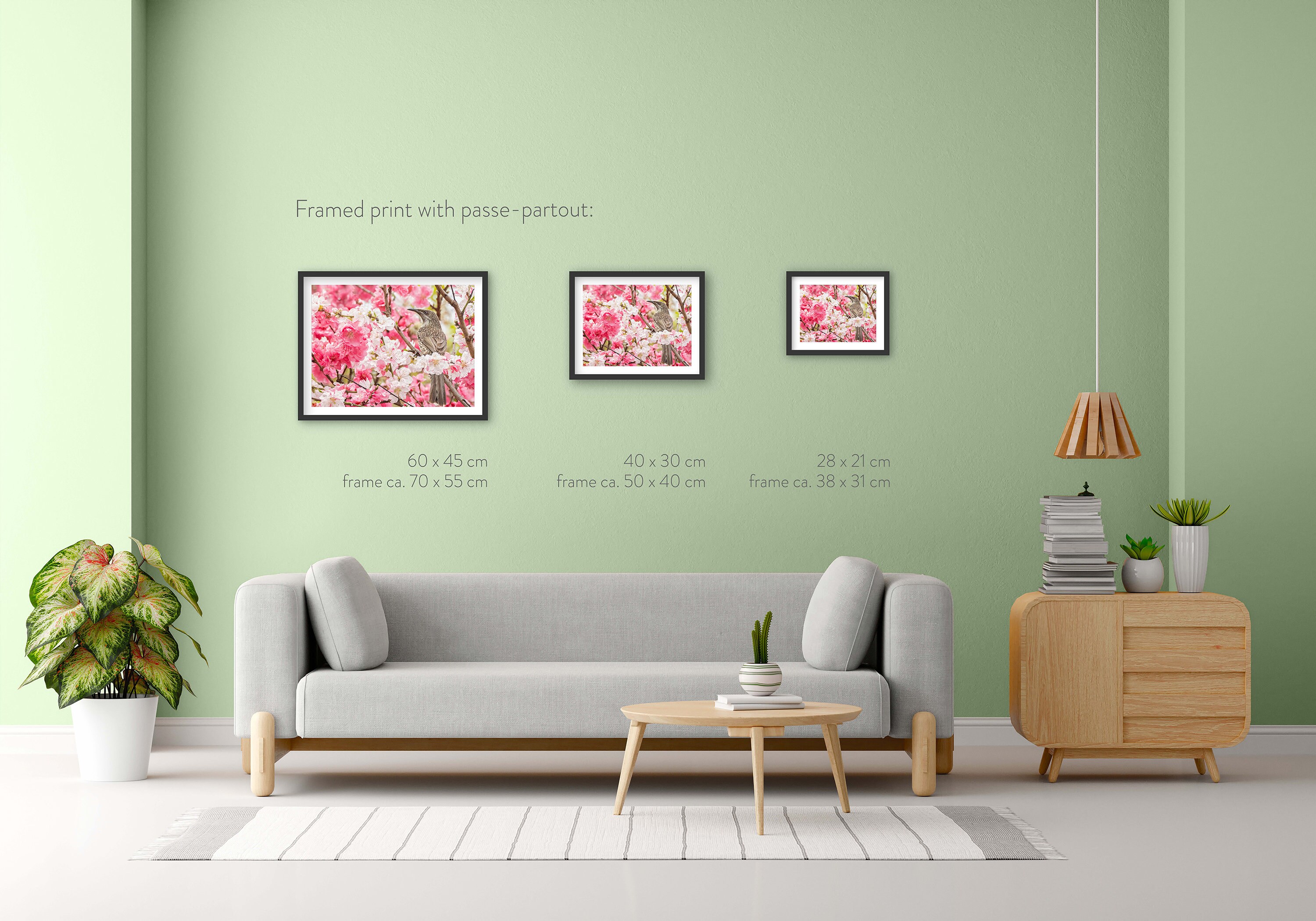 Australian Spring - Fine Art Photography Print - Bird in a Cherry ...