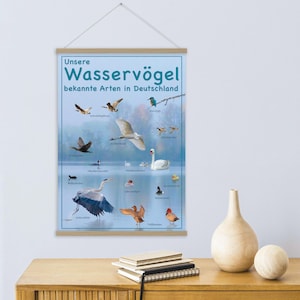 Uccelli acquatici in Germania "I nostri uccelli acquatici" Poster formato A2, collage di fotografie naturalistiche - Belle arti, decorazione da parete e regalo per gli amanti del birdwatching
