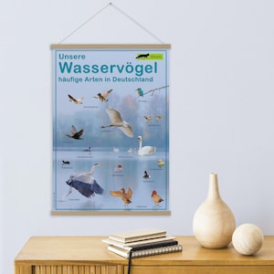 Könnte beinhalten: Ein vertikales Wandposter mit dem Titel Unsere Wasservögel häufige Arten in Deutschland, das verschiedene Wasservögel in ihrem natürlichen Lebensraum zeigt. Das Poster wird von hellen Holzleisten oben und unten gehalten und zeigt beschriftete Vogelbilder.