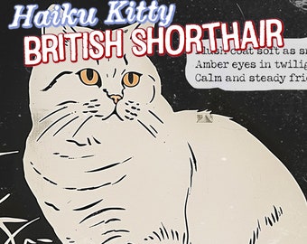May include: A white British Shorthair cat with amber eyes. The cat has a lush coat and is sitting on a black background. The text "Haiku Kitty BRITISH SHORTHAIR" is at the top of the image. The text "lush coat soft as silk" is below the cat. The text "Amber eyes in twilight" is below the first line of text. The text "Calm and steady friend" is below the second line of text.