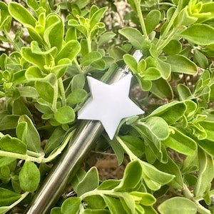 May include: A silver metal straw with a white star-shaped tip. The straw is partially visible in a green leafy bush.