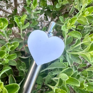 May include: A silver metal bottle with a light purple heart-shaped silicone cover. The bottle is sitting on a bed of green leaves.